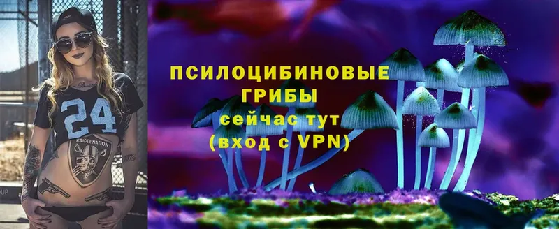 Галлюциногенные грибы мицелий  сколько стоит  гидра как войти  Белово 