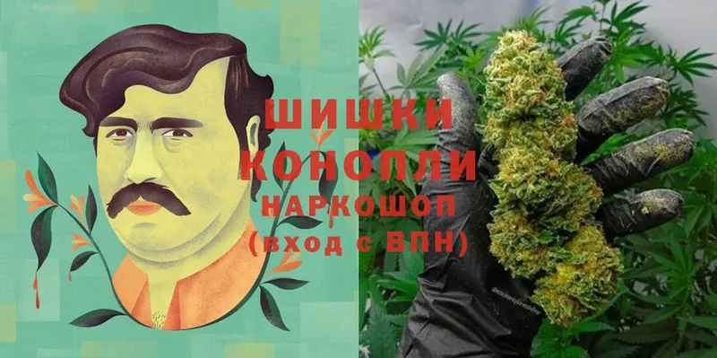 продажа наркотиков  Белово  мега ссылка  Шишки марихуана OG Kush 